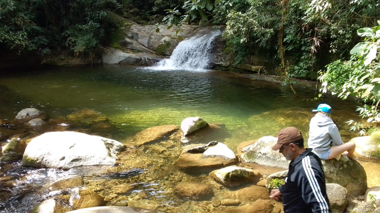 Vegetação densa da mata atlântica