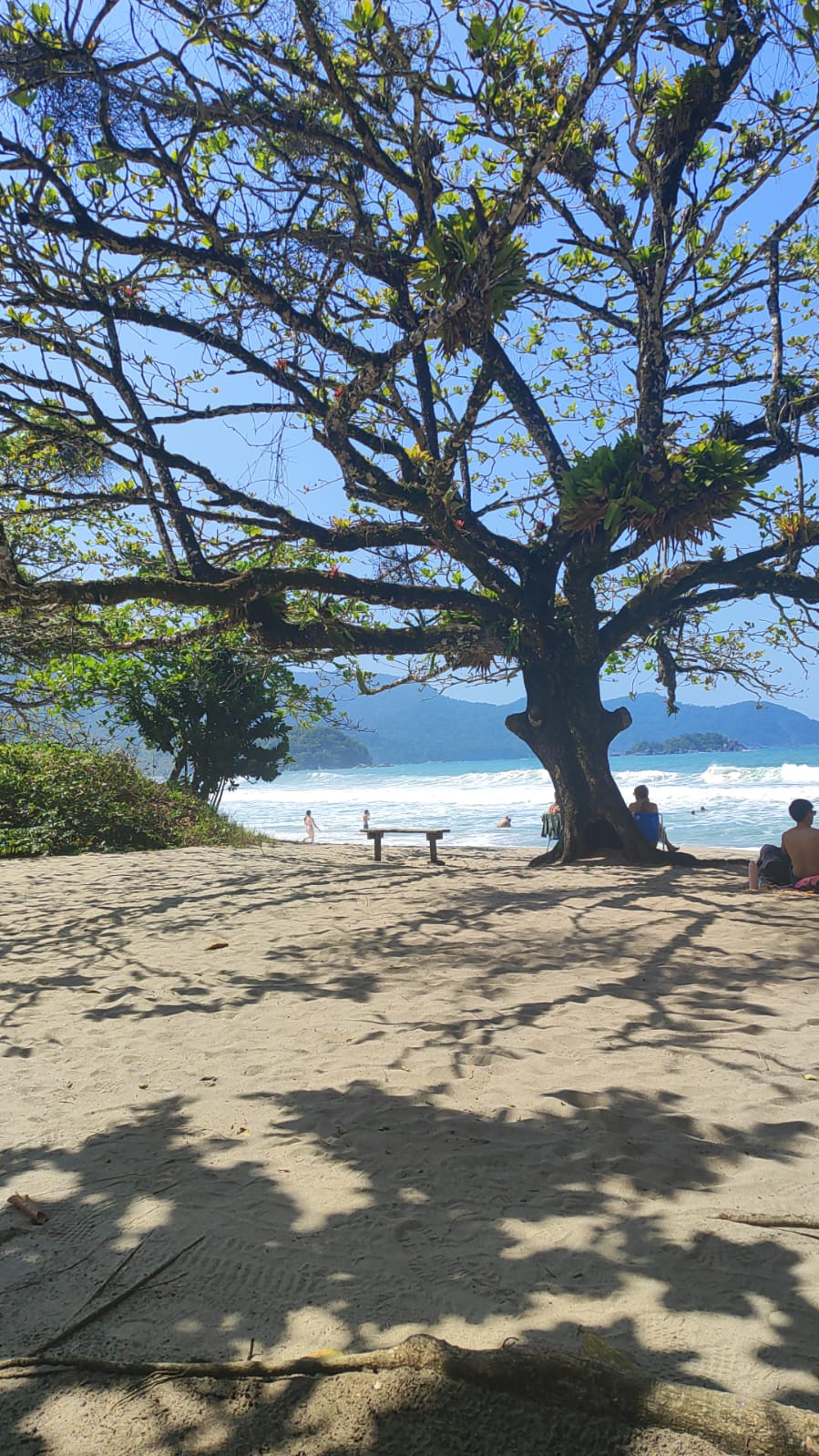 Praia de Castelhanos